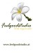 Yoga Einsteiger Wochenende 11/12.11.2011