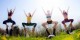 Workshop AcroYoga Fundamentals in Vienna
