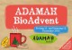 Bio Weihnachtsbaum & Adamah BioAdvent