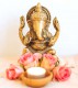 Ausbildung zum/r Ayurveda-PraktikerIn | Start 2025