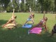 Yoga im Bad - Bikram Yoga mal anders