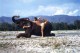 Ashtanga Yogaworkshop mit Danny Paradise in Wien 