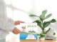 Neu | Der kleine Yogi Tisch- & Wandkalender 2023