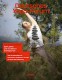 Neue Ausgabe | Deutsches Yoga-Forum 3/2023