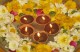 Happy Diwali, indisches Lichterfest 12. Nov. 2023