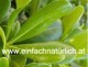 Einladung zur Verkostung der einfach natürlichen Produkte