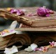 Seminar | Das Yoga der Bhagavad Gita mit Eberhard Bärr