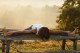 Immunkraft und Yoga | Impulse und Praxis