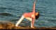 Kraft und Inspiration für den Herbst | Yogaferien Istrien 