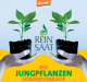 ReinSaat Bio Jungpflanzenverkauf 23. – 25. April 2021 