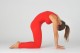 Yogaübungen & Spiraldynamik