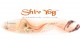 Shiv-Yog-Seminar | Shambavi Healing Praxis