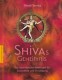 Shivas Geheimnis und altes indisches Heilwissen