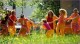 yogaguide Filmtipp | Sommer in Orange ab 2.9.11 im Kino