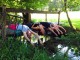 Yoga Intensiv Training mit Florian Palzinsky 
