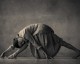 Art of Attention Workshops | Elena Brower in Vienna