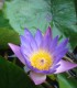 All you can relax | Hatha-, Lach-, Yin-Yoga & Yoga-Nidra