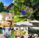 Sommersonnwende am südburgenländischen Weltenhof
