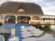 Yoga unter freiem Himmel am Neusiedlersee