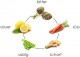 Workshop | Yoga und Kochen nach den 5 Elementen 