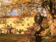 Yoga & Natur-Wochenende im Pichlschloss | Okt 2021 