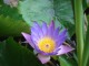 Coaching, Psychotherapie & Supervision für YoginIs