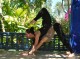 Flow & Restore Paros | Sommer  Yogaurlaub Griechenland