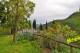 Tools for Inner Peace – yogaretreats in Tuscany