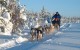 Naturerlebnis & Yoga in finnisch Lappland