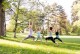 SommerYoga im Freien, in der Stadt, im Park, am Dach