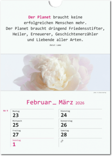 Wir-Kalender 2026 | yogaguide Tipp Wir-Kalender 2026 | yogaguide Tipp