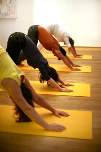 Yogakurse in Österreich 20 Jahre YOGA Austria BYO Gratis Yogakurse zum Kennenlernen  