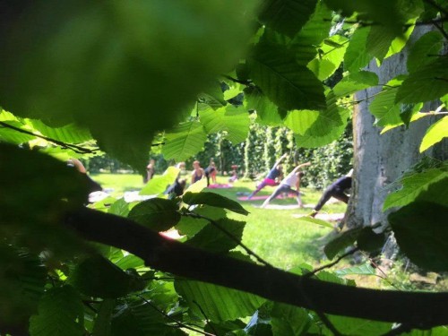 Secret Garden Yoga Schoenbrunn | SommerYogaGuide