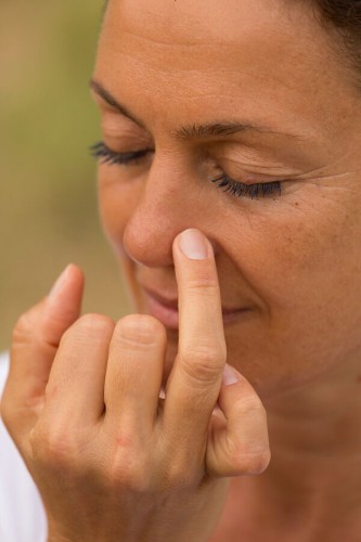 Ananda Yogalehrerausbildung | yogaguide Tipp Ananda Yogalehrerausbildung | yogaguide Tipp