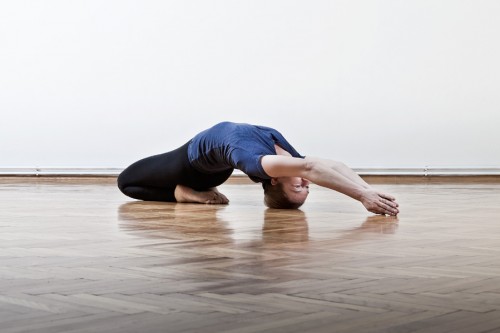 Athayoga Yoga in Wien | Yogakurs-Start | yogaguide