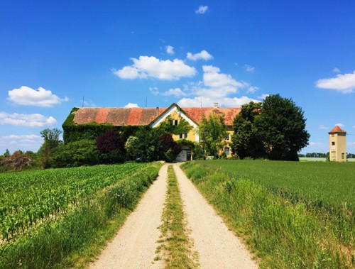 Ayurveda Verein Nexenhof | yogaguide Ayurveda Verein Nexenhof | yogaguide