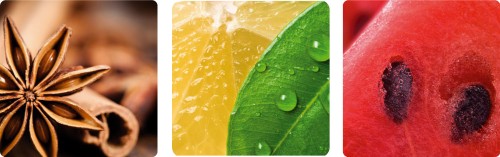 Sinnliches Frauenwochenende - Ayurveda & Yoga-Workshop mit bloom | Yoga Guide Ayurveda und Yoga-Workshop im Südburgenlande | YogaGuide