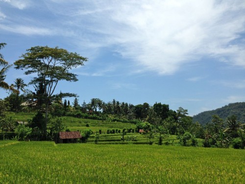 yoga-natura retreat bali | yogaguide