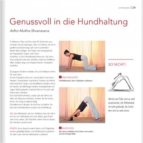 Yoga fuer Einsteiger Barbra Noh | yogaguide Yoga fuer Einsteiger Barbra Noh | yogaguide