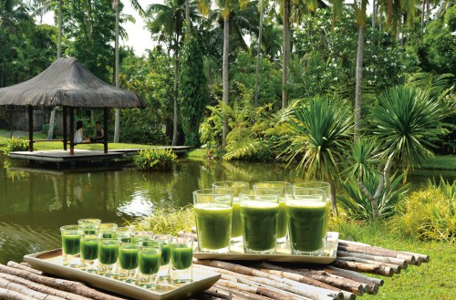 The Farm at SanBenito, City of Lipa Batangas Photo©Luca Tettoni veggie-hotels.de