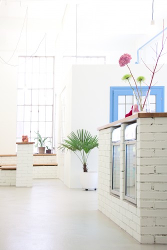 Bikram Yoga Loft | Neues Yogastudio in Wien 1040 | Yoga Guide