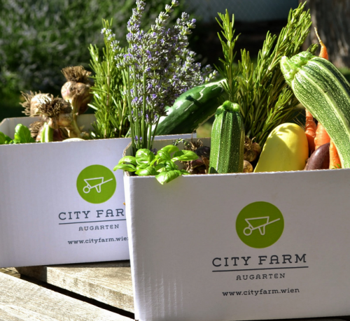 BioGemuesekisterl©www.cityfarm.wien
