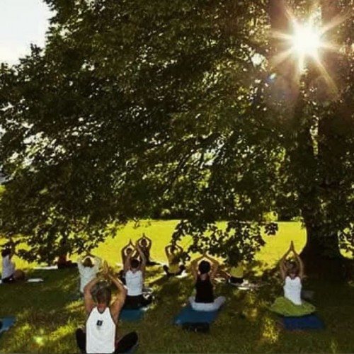 Outdoor-Yoga mit Birgit Söllinger-Markanovic Schleissheim Wels | YogaSommerGuide