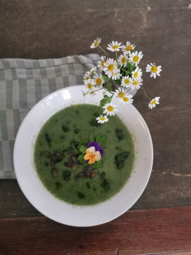 Der Stoffwechsel-Kalender Brennessel-Kohlrabi-Suppe | yogaguide Tipp