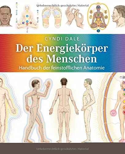 Der Energiekörper des Menschen Cyndi Dale