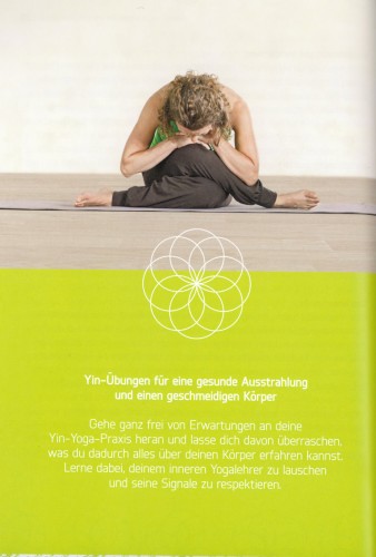 Detox mit Yin Yang-Yoga Stefanie Arend | yogaguide