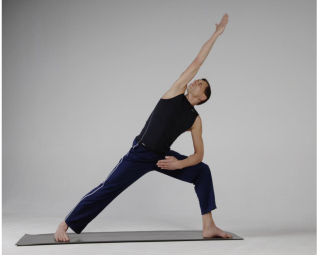 Sommerworkshop Yoga und Spiraldynamik | YogaGuide