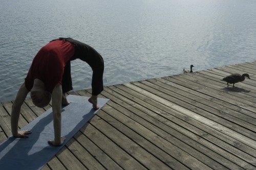 Yoga am See mit Florian Neuscheller | Yogaguide