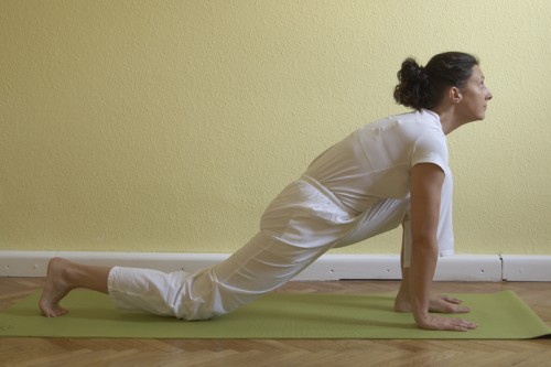 Ganzheitliches Yoga in Wien| yogaguide