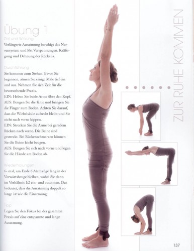 Gesund durch Yoga_Poeckh_ViaNova yoga guide Gesund durch Yoga_Poeckh_ViaNova yogaguide